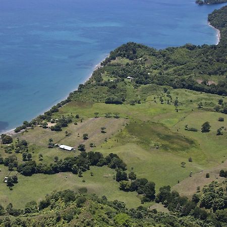 Hotel Punta De Aguila Necocli Bagian luar foto